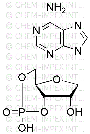 Adénosine-3',5'-monophosphate cyclique