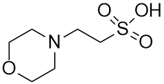 Acide 2-morpholinoéthanesulfonique Faible teneur en humidité