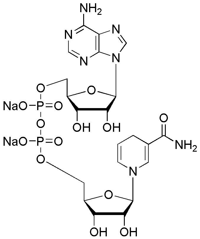 β-Nicotinamide adénine dinucléotide forme réduite sel disodique