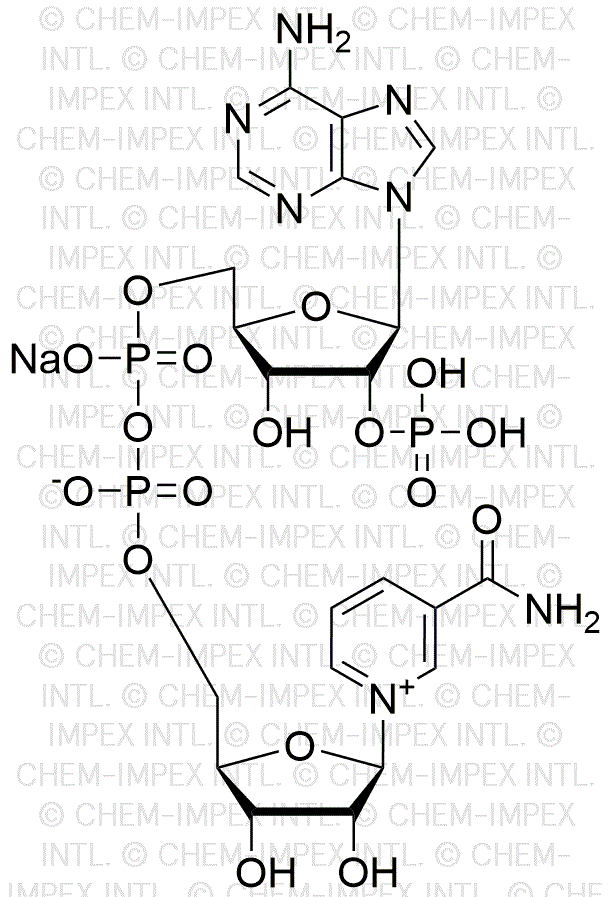 Sel de sodium du phosphate de b-nicotinamide adénine dinucléotide