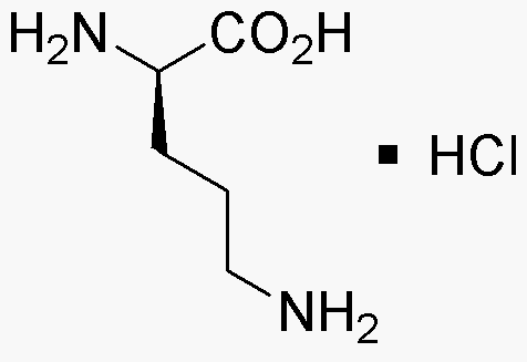 Clorhidrato de D-ornitina