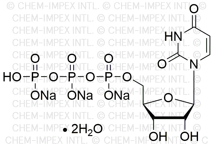 Uridine-5'-triphosphate trisodium salt dihydrate