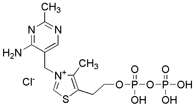 Pirofosfato de tiamina