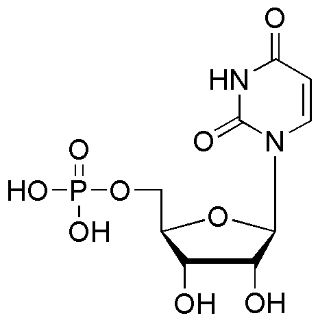 Uridine-5'-monophosphate