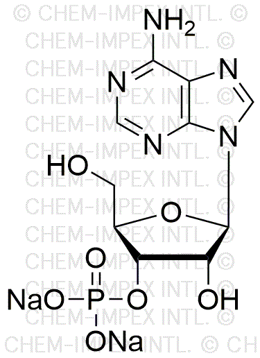 Sel disodique d'adénosine-3'-monophosphate