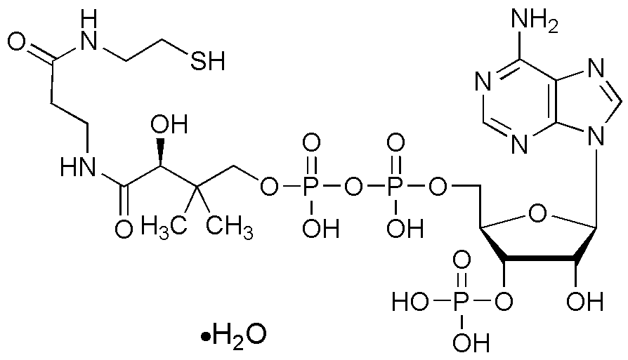 Hidrato de coenzima A