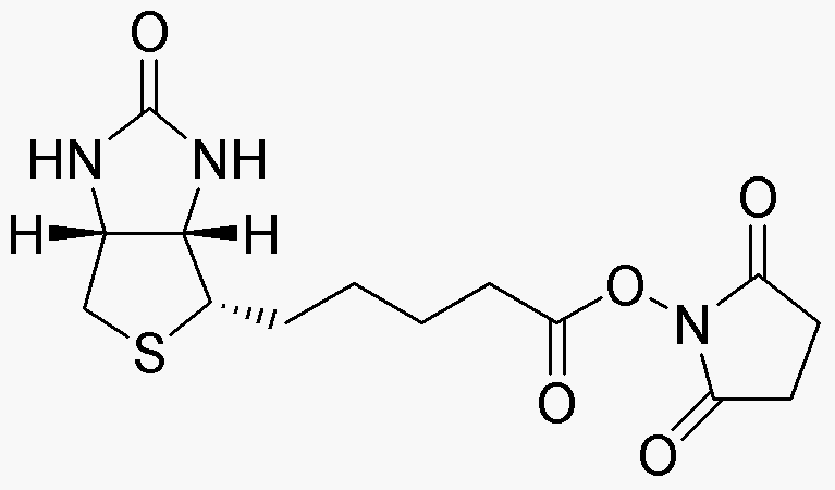 (+)-Éster de N-hidroxisuccinimida de biotina