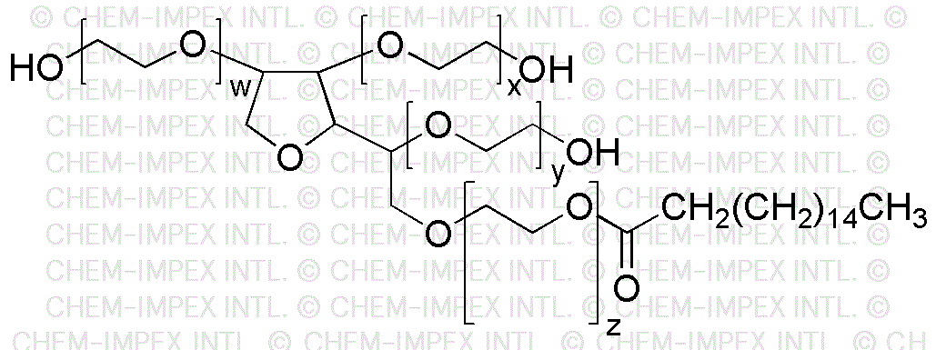 Préadolescent 40