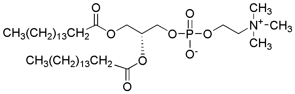 1,2-Dipalmitoyl-sn-glycéro-3-phosphocholine