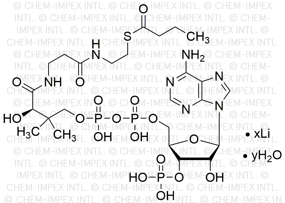 Sel de lithium hydraté de butyryl coenzyme A