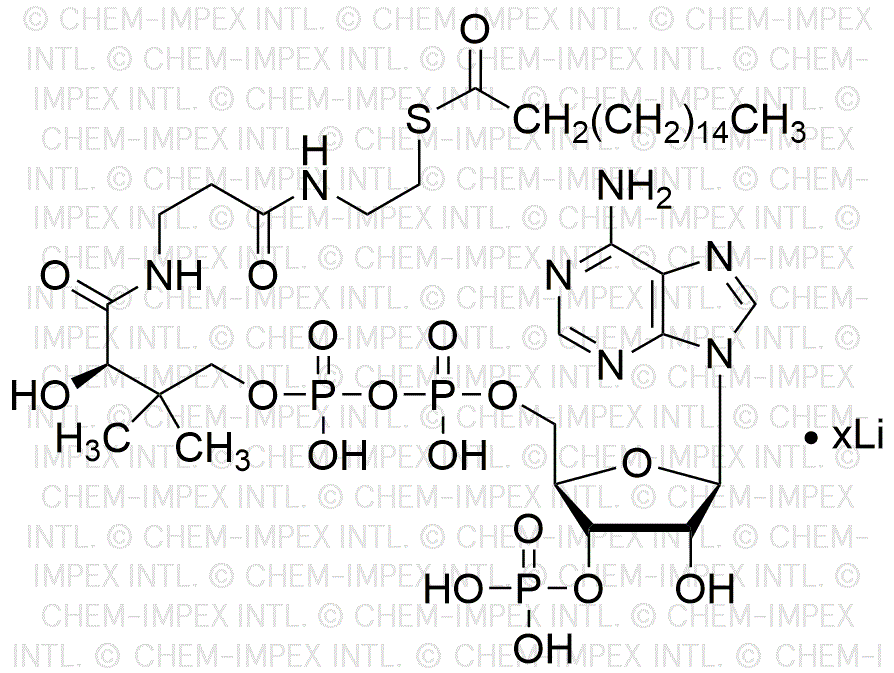 Sal de litio de la coenzima A n-heptadecanoil