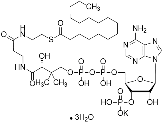 Sel de potassium du palmitoyl coenzyme A