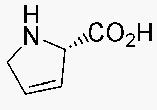 3,4-Dehydro-L-proline