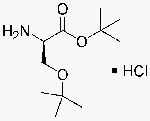 Chlorhydrate d'ester t-butylique d'O-tert-butyl-D-sérine