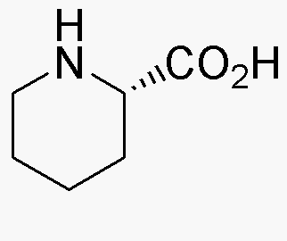 L-Homoprolina