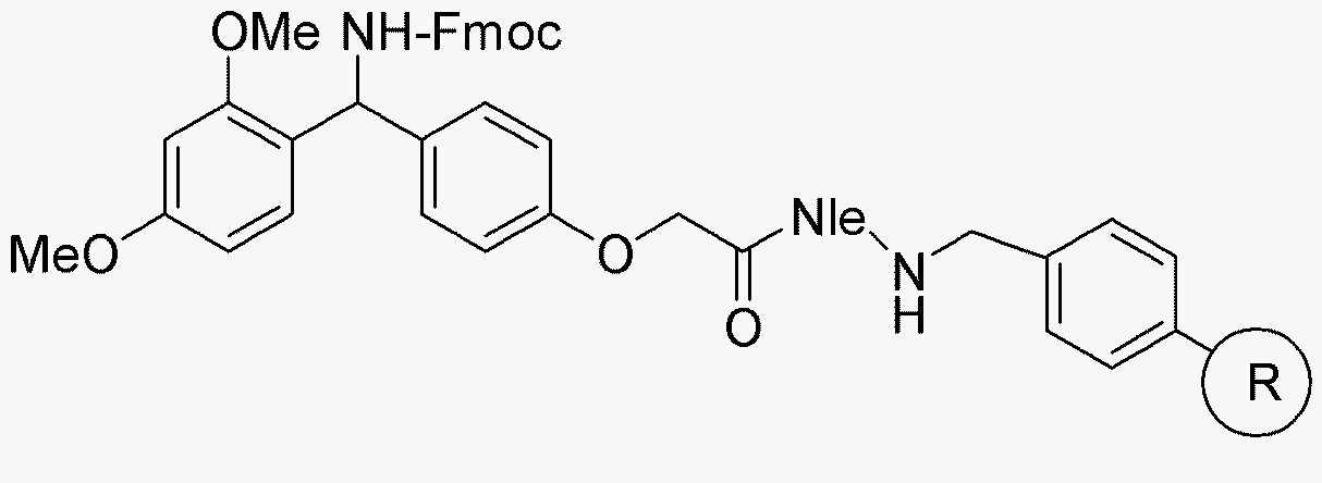 Rink amide AM resin (with Nle)