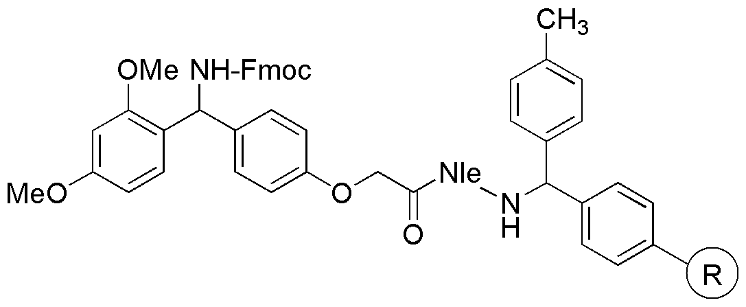 Rink amide MBHA resin (with Norleucine) (0.3-0.8 mmol/g, 200-400 mesh)