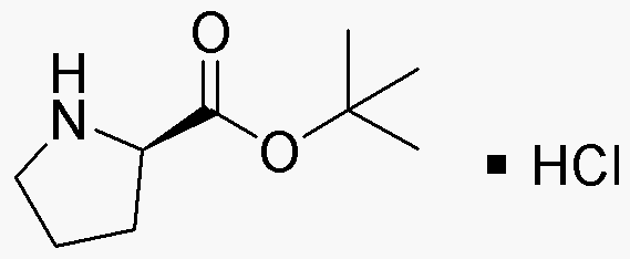 D-Proline tert-butyl ester hydrochloride