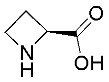 Ácido L-azetidina-2-carboxílico