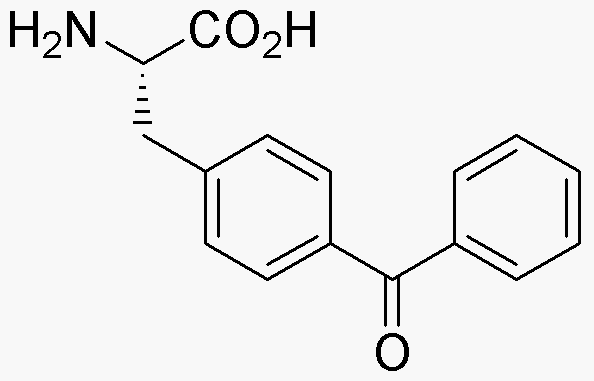 4-benzoyl-L-phénylalanine