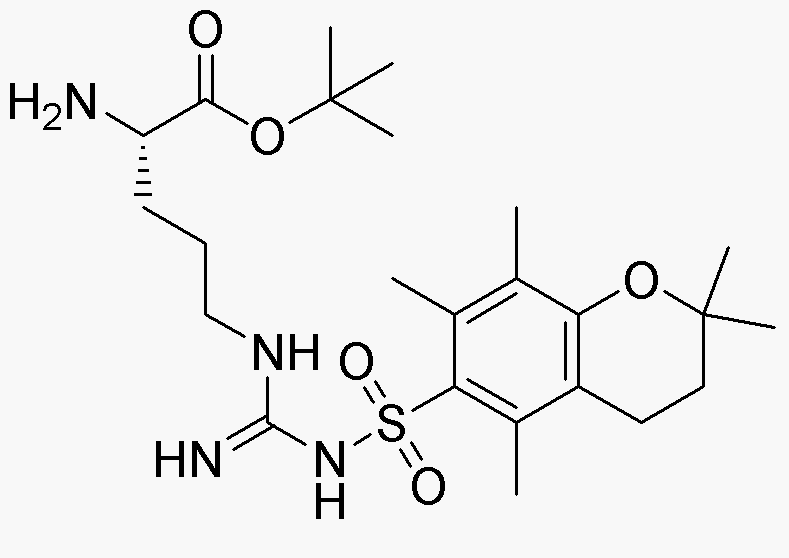 H-Arg(Pmc)-OtBu (free base)