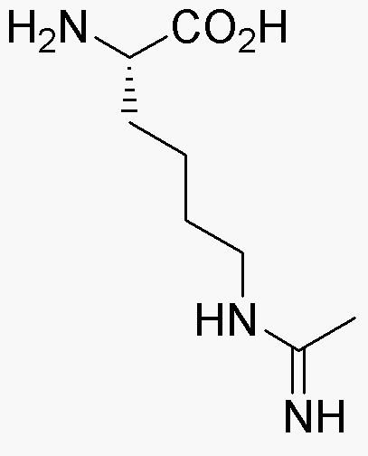 Ne-acetimidoil-L-lisina