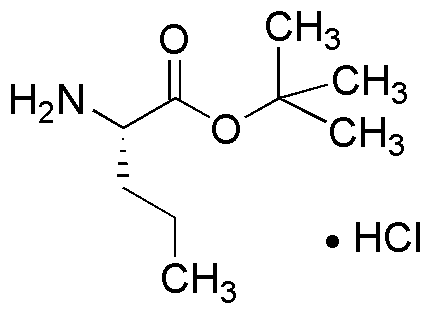 Chlorhydrate d'ester tert-butylique de L-norvaline