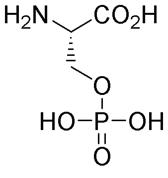 O-Phospho-L-serine