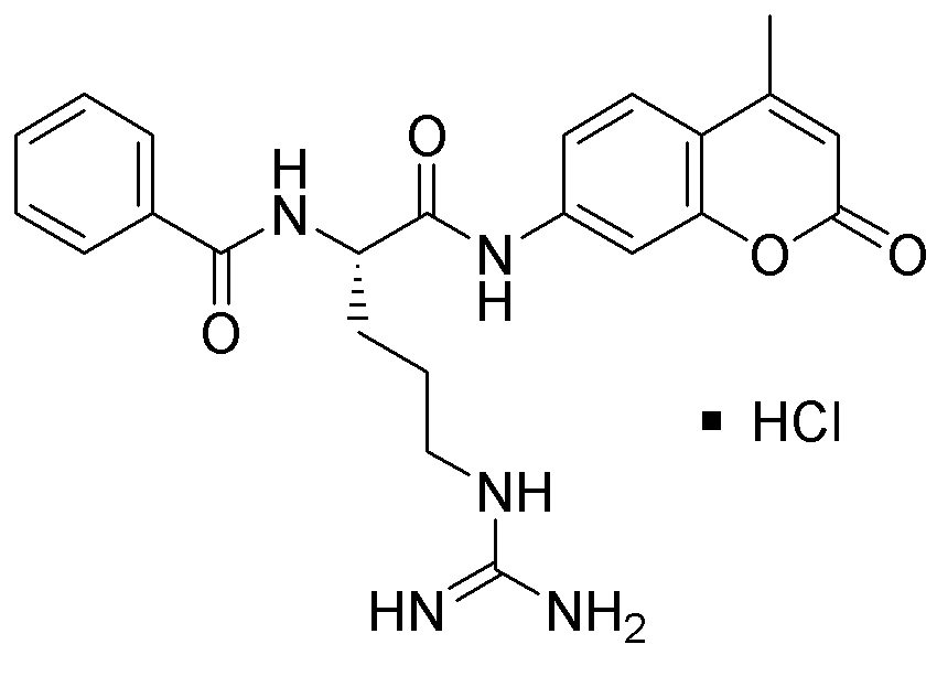 Nα-Benzoyl-L-arginine 7-amido-4-methylcoumarin hydrochloride