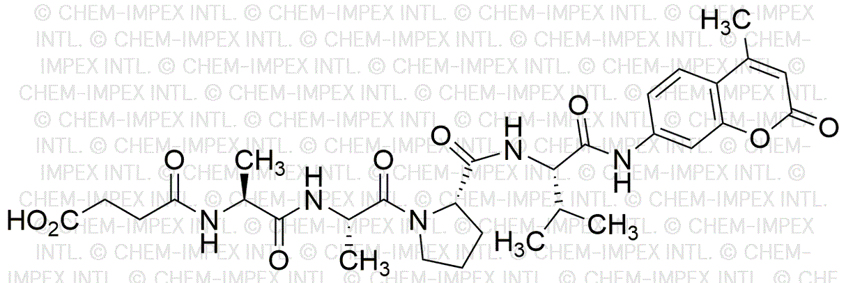 Suc-Ala-Ala-Pro-Val-AMC