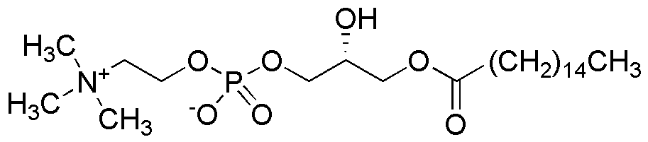 1-Palmitoil-sn-glicero-3-fosfocolina