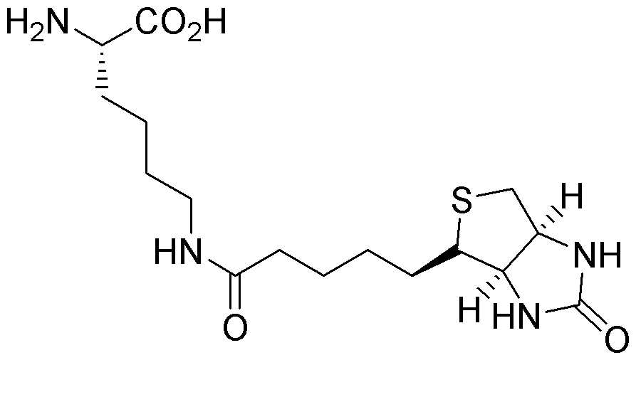 Ne-Biotinil-L-lisina