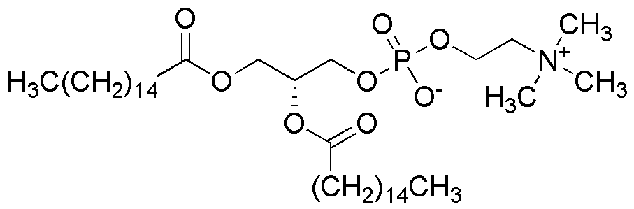 1,2-Dipalmitoil-sn-glicero-3-fosfocolina