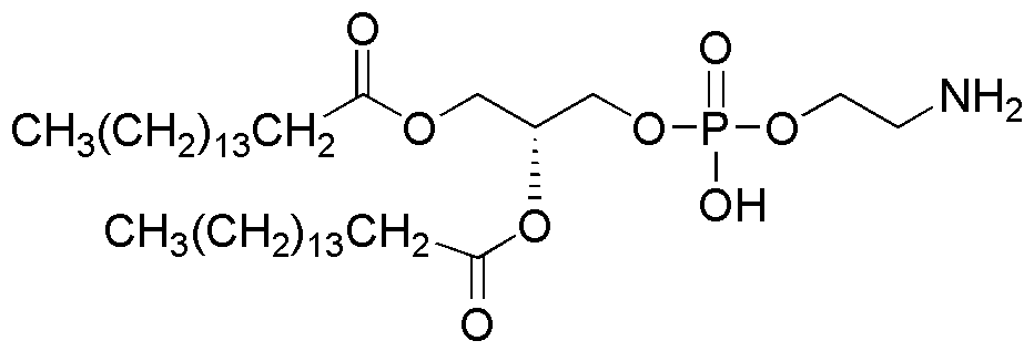 1,2-Dipalmitoil-sn-glicero-3-fosfo-etanolamina