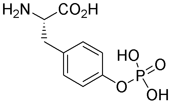 O-Phospho-L-tyrosine