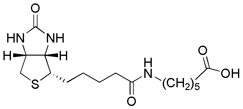 (+) Biotinyl-6-aminohexanoic acid