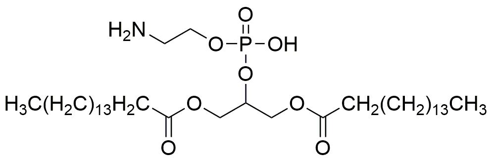 1,3-Dipalmitoyl-glycero-2-phosphoethanolamine