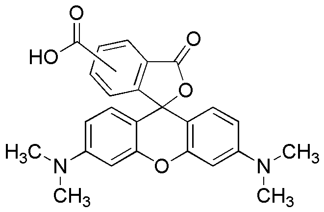 5(6)-Carboxy-tetramethylrhodamine