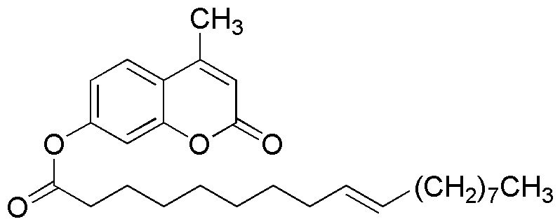 Élaïdate de 4-méthylumbelliféryle