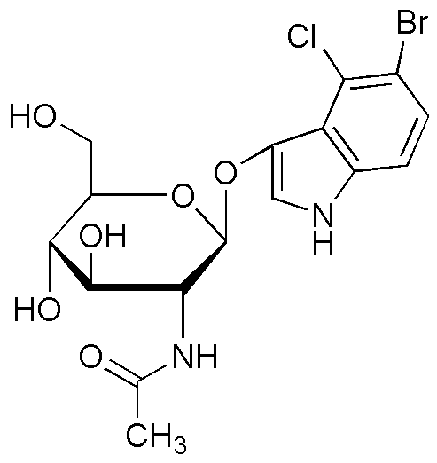 5-Bromo-4-chloro-3-indolyl-N-acétyl-β-D-glucosaminide