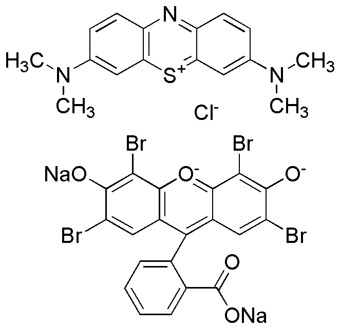 Wright stain