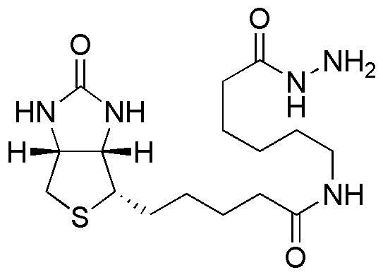 (+)-Hidrazida del ácido biotinamidohexanoico