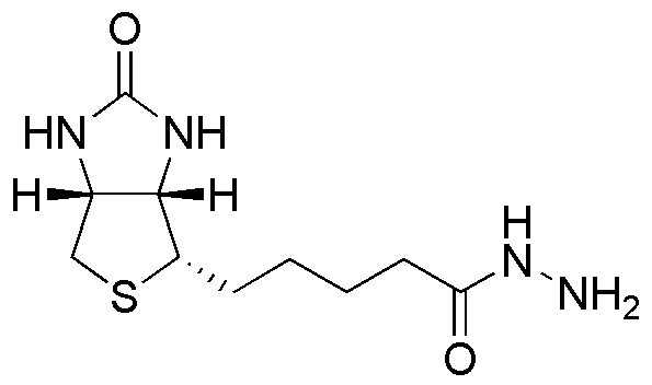 (+)-Biotina hidrazida