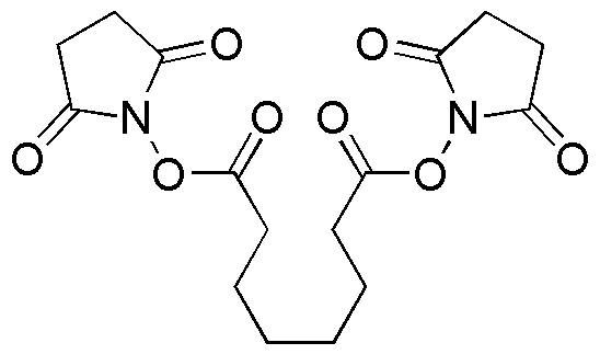 Disuccinimidyl suberate