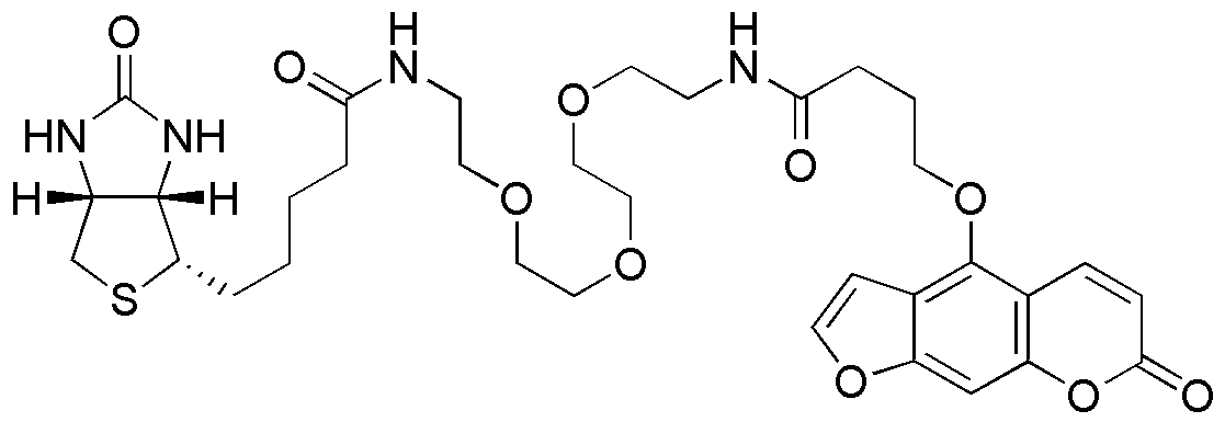 (+)-Biotin-(PEO)4-psoralen