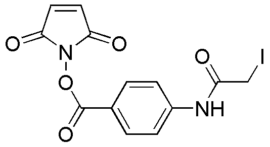 N-succinimidyl-(4-iodoacétyl)aminobenzoate