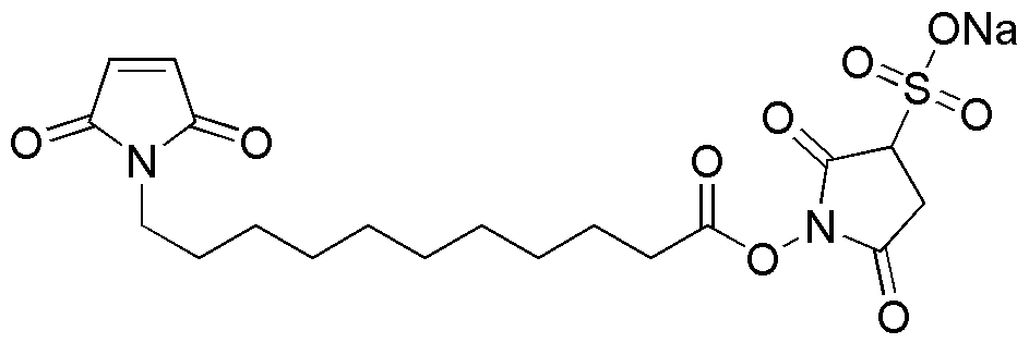 Ácido 11-maleimidoundecanoico sulfo-NHS