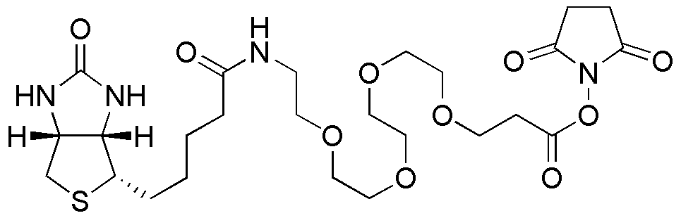 (+)-Biotin-(PEO)4-NHS-propionate