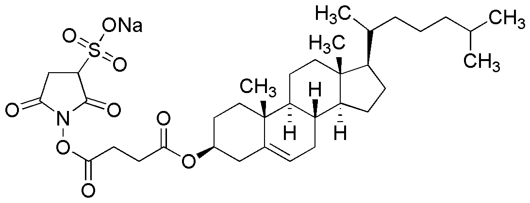 (-)-Cholesterol sulfo-NHS succinate