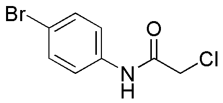 N-(4-bromofenil)-2-cloroacetamida